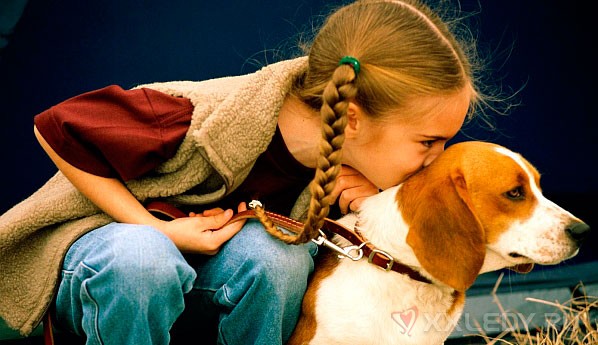 От астмы ребенка защитит… собака