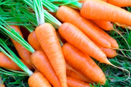 Морковные маски для лица: естественный и красивый цвет кожи